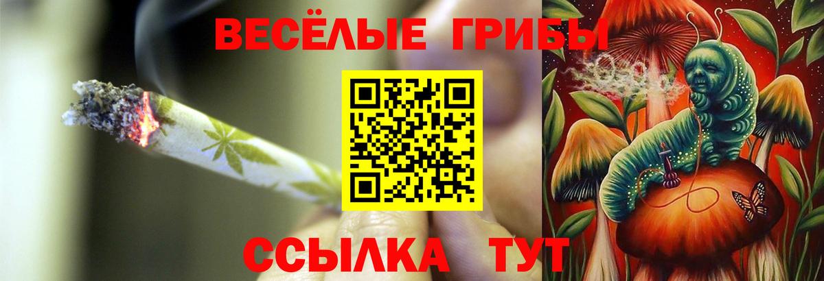 Галлюциногенные грибы GOLDEN TEACHER  Вход с VPN  Людиново 